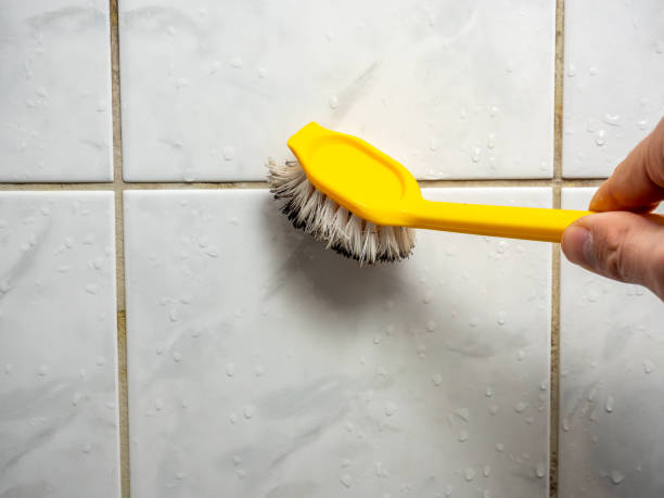 Best Professional Mold Removal  in Pulaski, NY