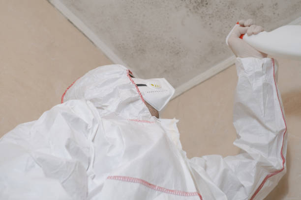 Best Toxic Mold Removal  in Pulaski, NY